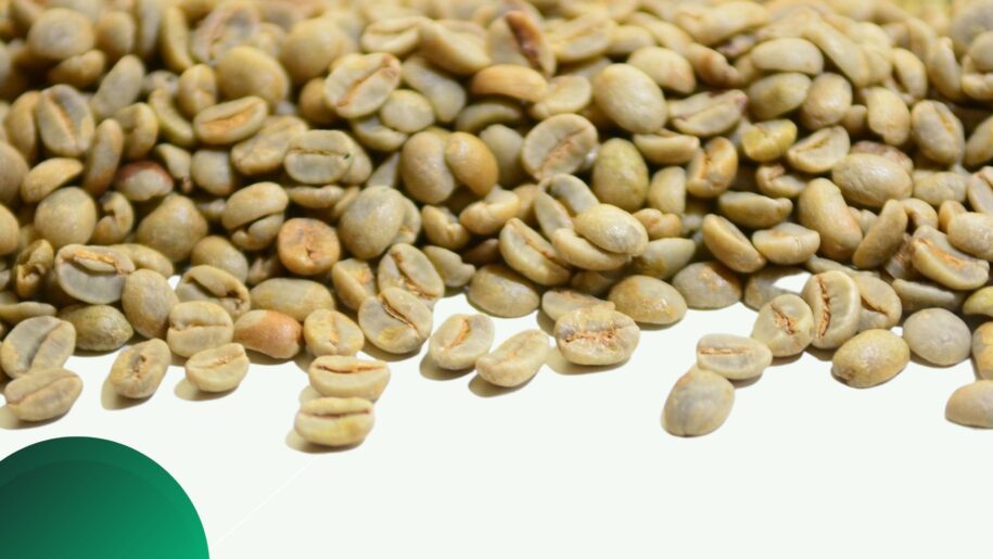 Green Coffee beans kenya