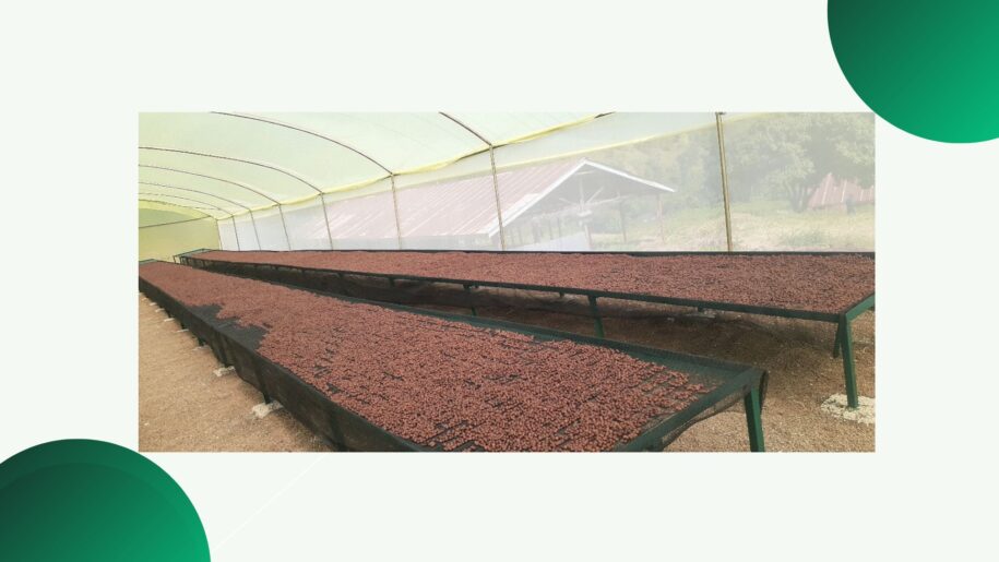 Coffee Producers