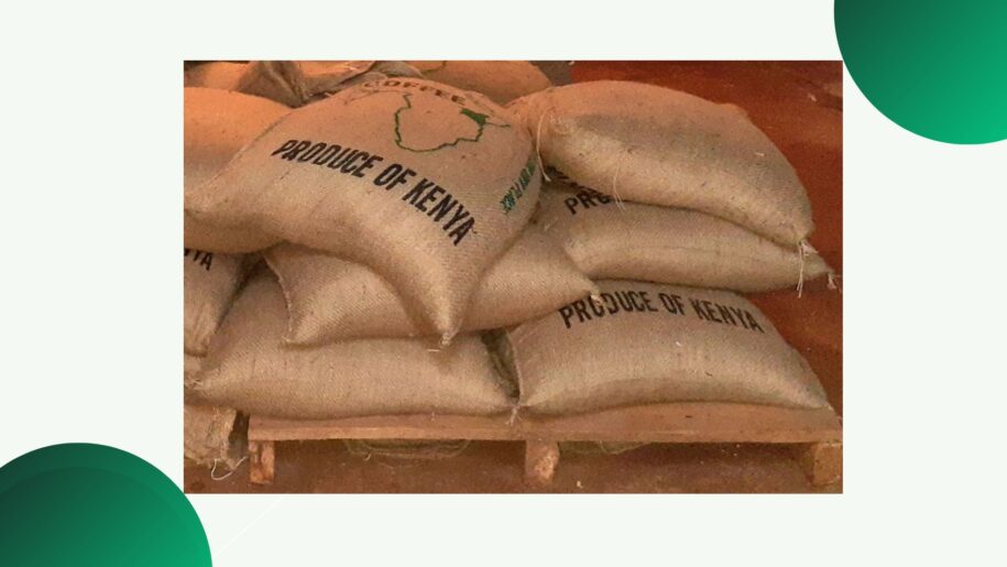 Kenya Coffee Market Outlook 2026