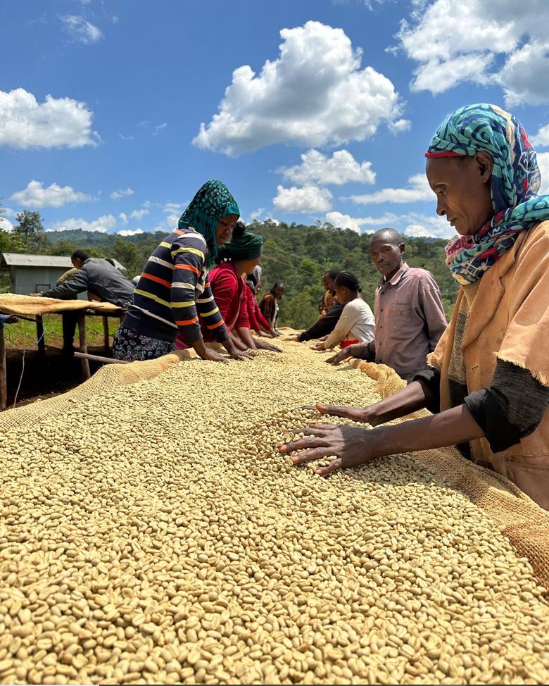 AGnimble team with coffee farmers at origin