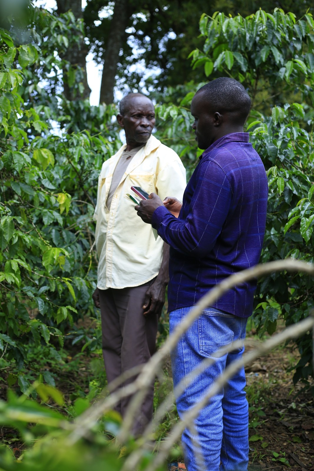 AGnimble agent interviewing farmer in coffee plantation